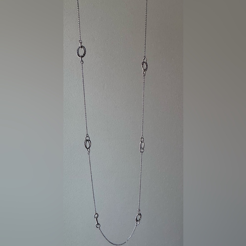 Ann Taylor Silver Long Necklace with Circular Accents
